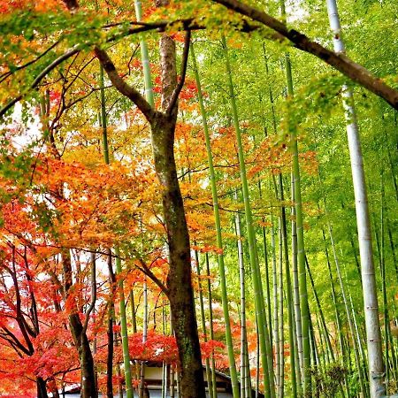 דירות Kyoto Yadomachi Nishijin מראה חיצוני תמונה