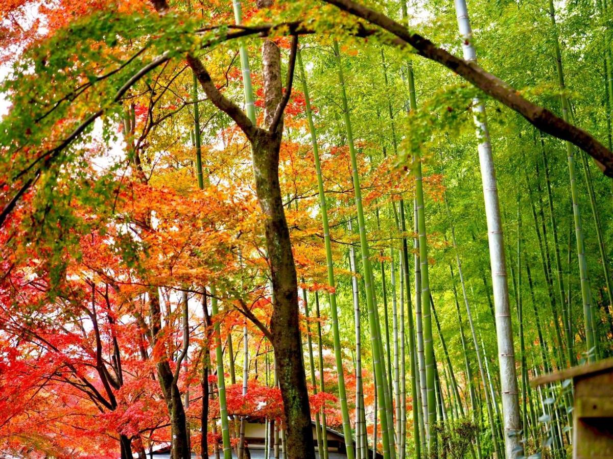 דירות Kyoto Yadomachi Nishijin מראה חיצוני תמונה